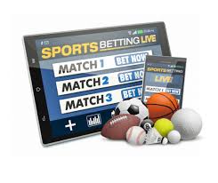 The Rising Trend of Online Betting Exploring Betwinner